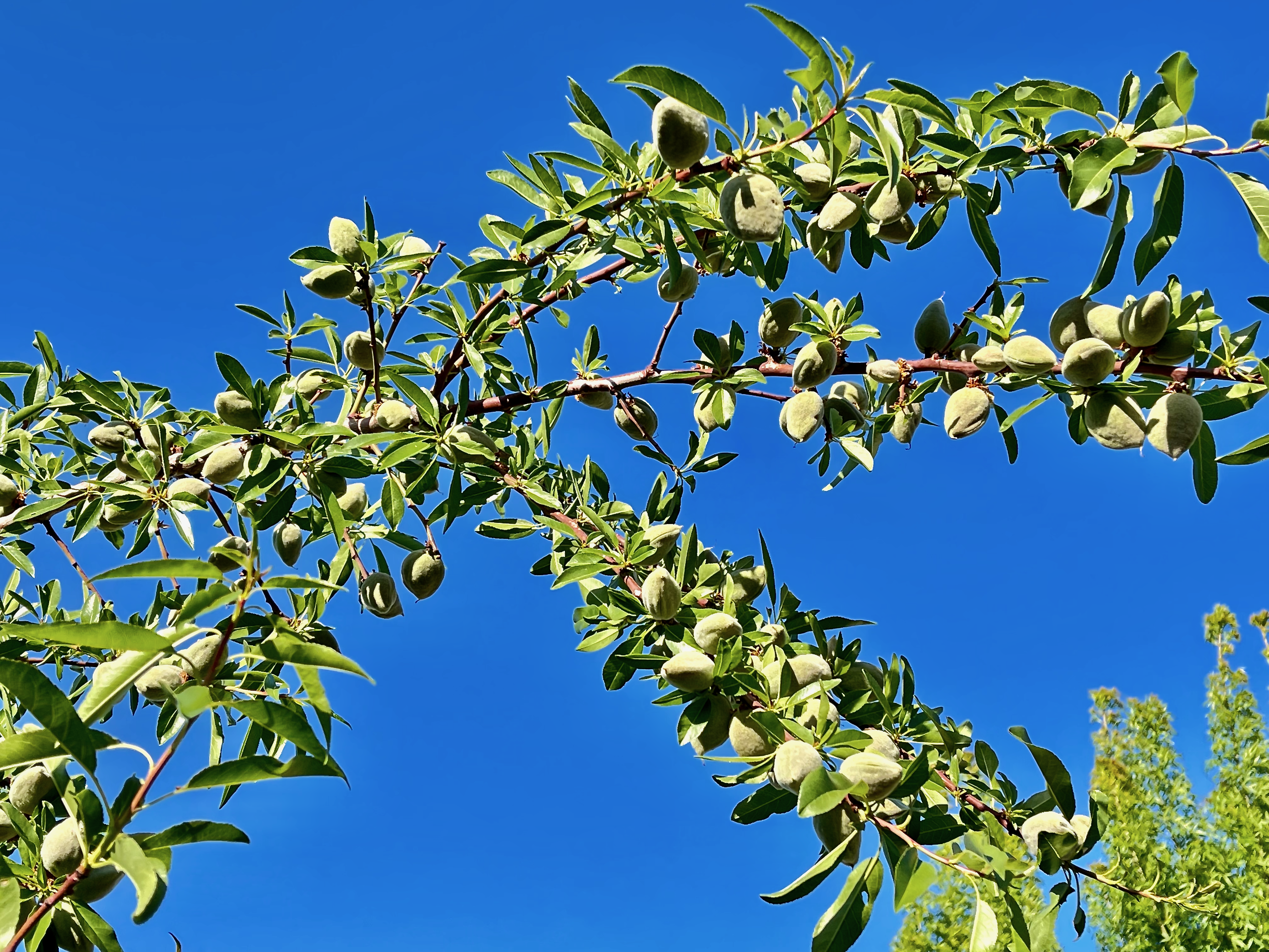 Truth Prevails … False Fails