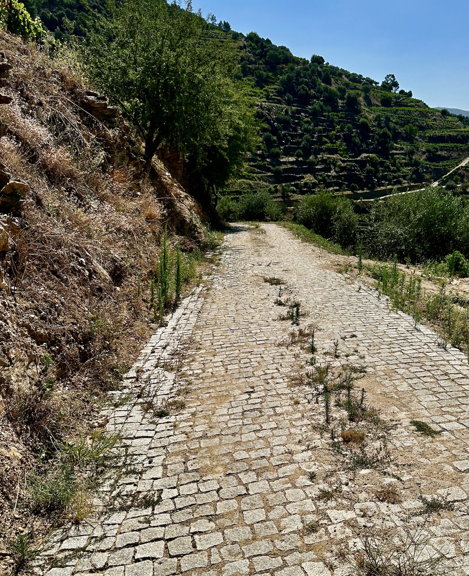 The Third Day … A Burning Heart Walk