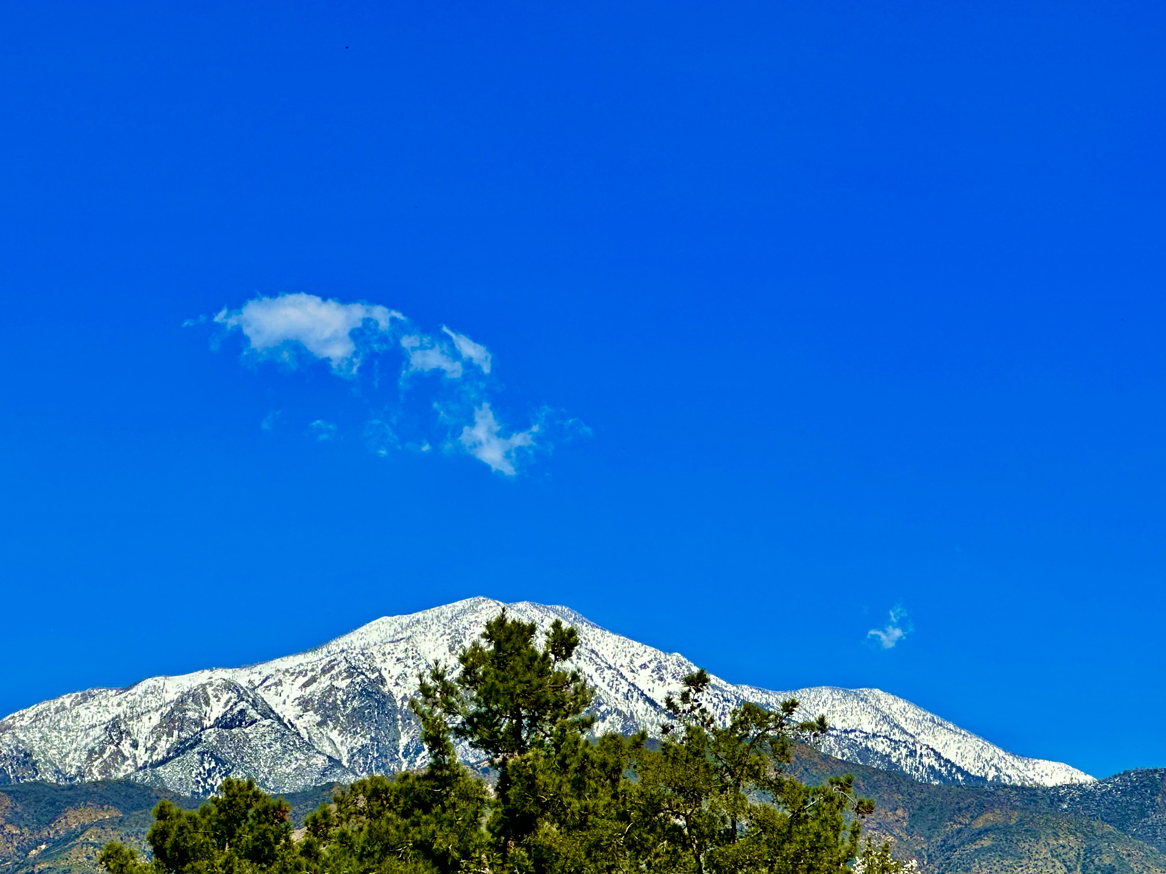 Learn and Live God’s Way