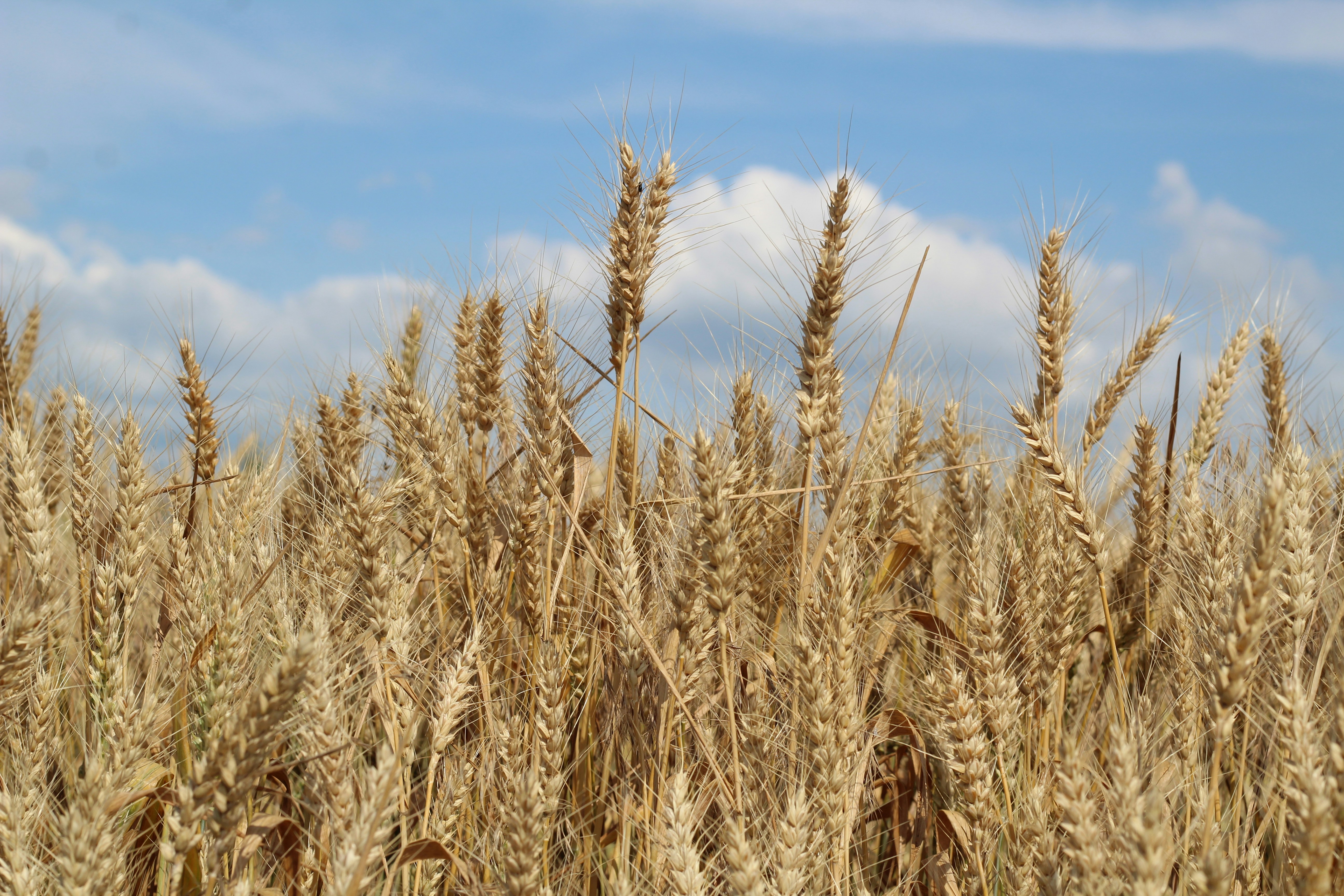 From Despair to Joy and Worship