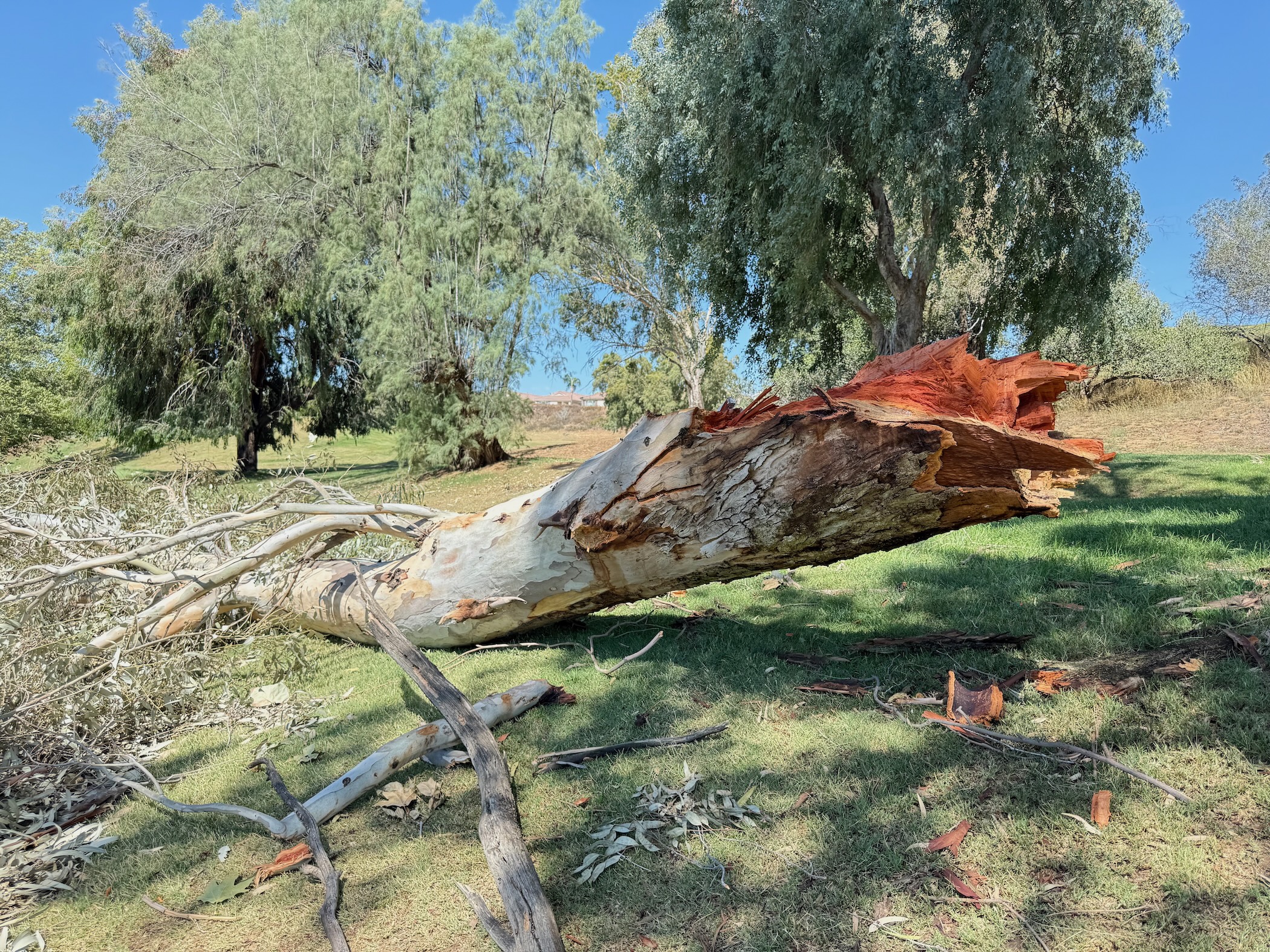 From Tragedy God Gives Hope