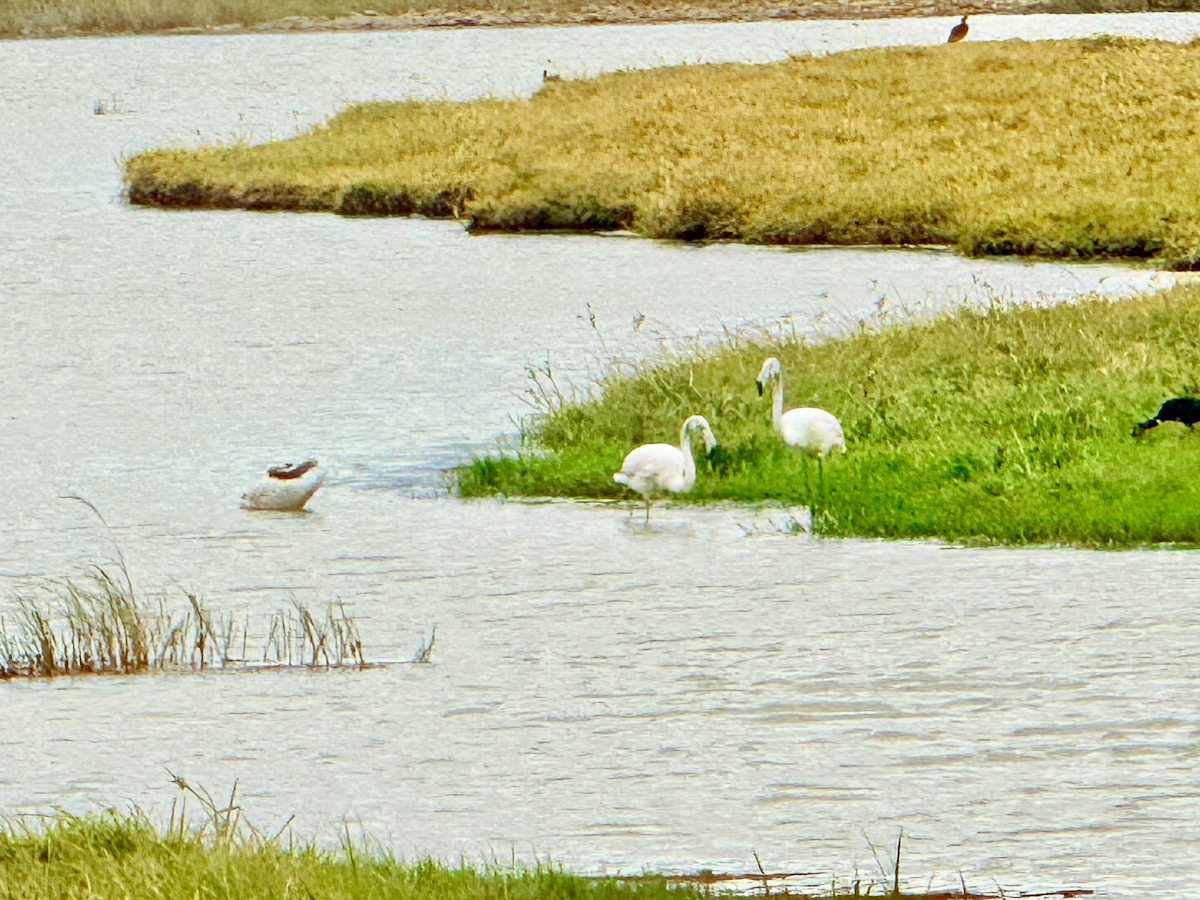 A First Step to Spiritual and Mental Health